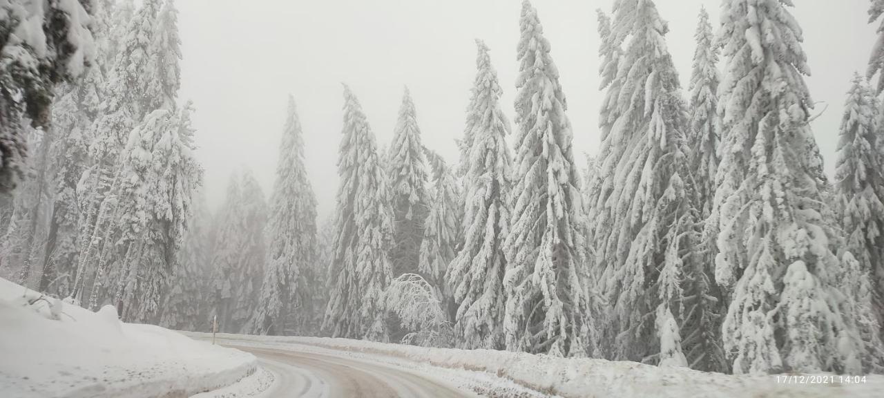 Sans Lux Apartman N42 Milmari Kopaonik Luaran gambar
