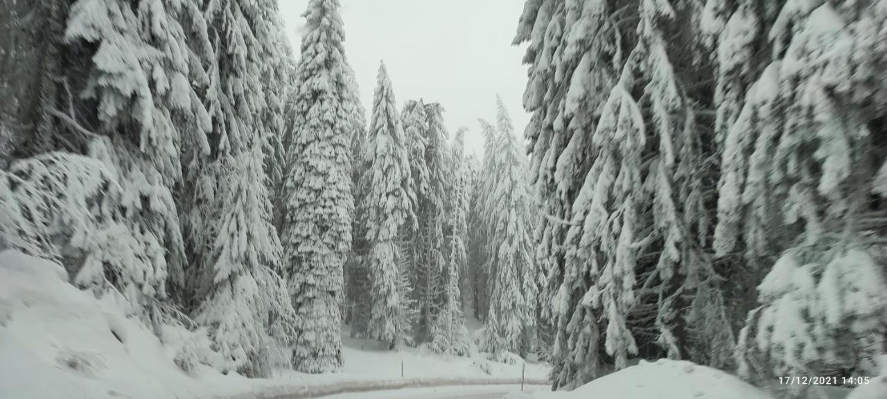 Sans Lux Apartman N42 Milmari Kopaonik Luaran gambar